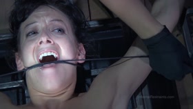 INFERNAL RESTRAINTS - CURIOUS ELISE BONUS