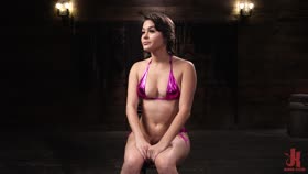 Nicole Aria: Bright Eyed and Bushy Tailed